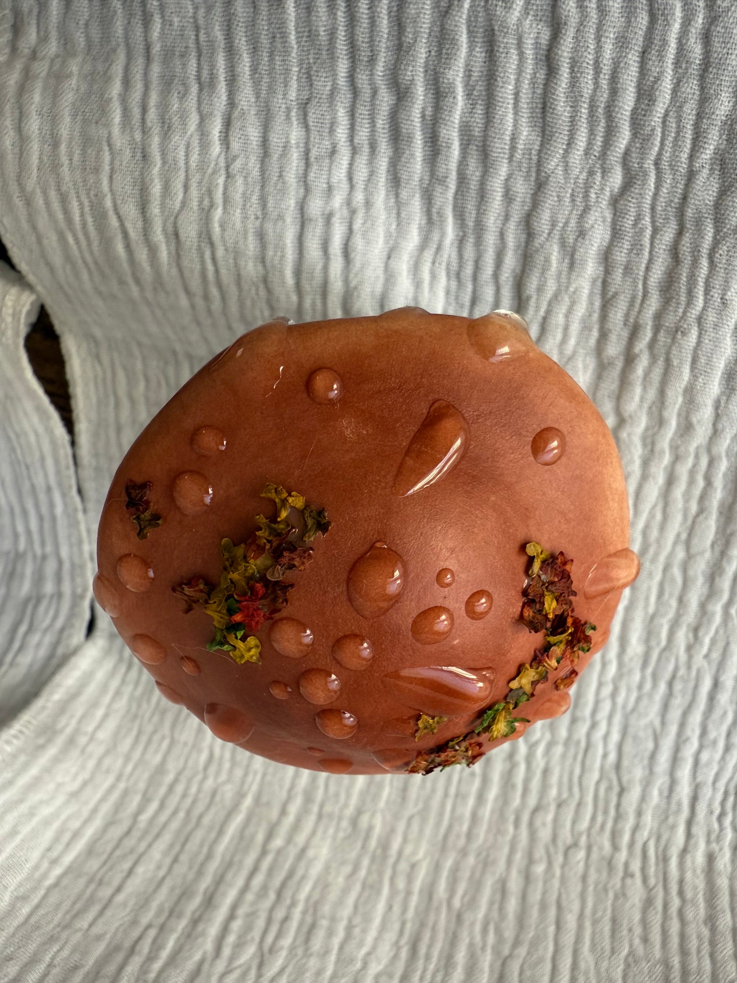 Cèpes la chouette