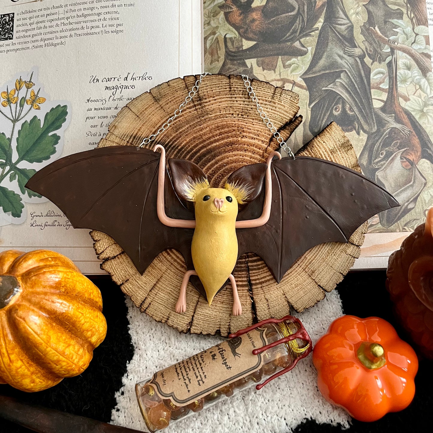 Chauve souris d’automne