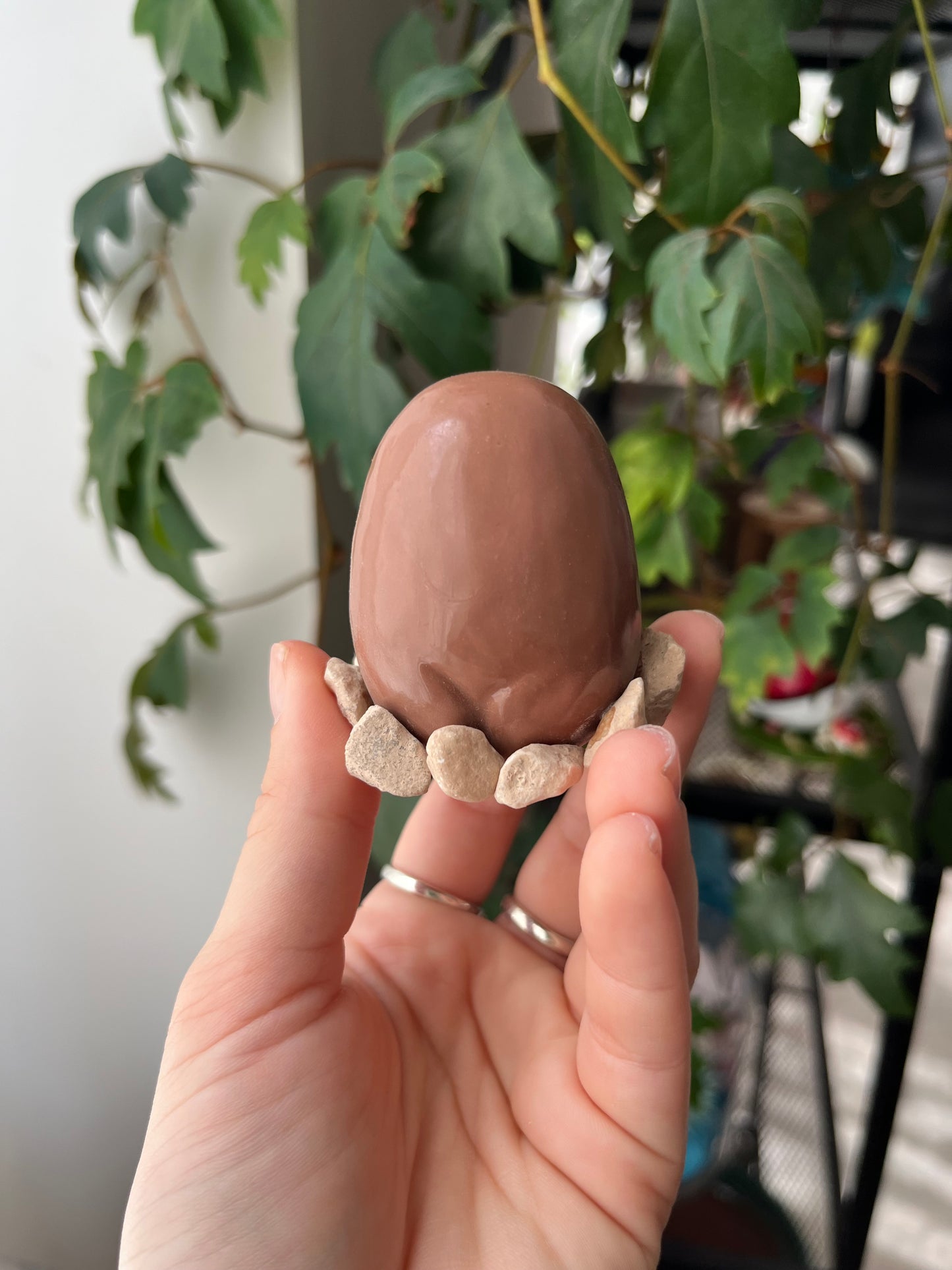 Wicked Buddies: Juin