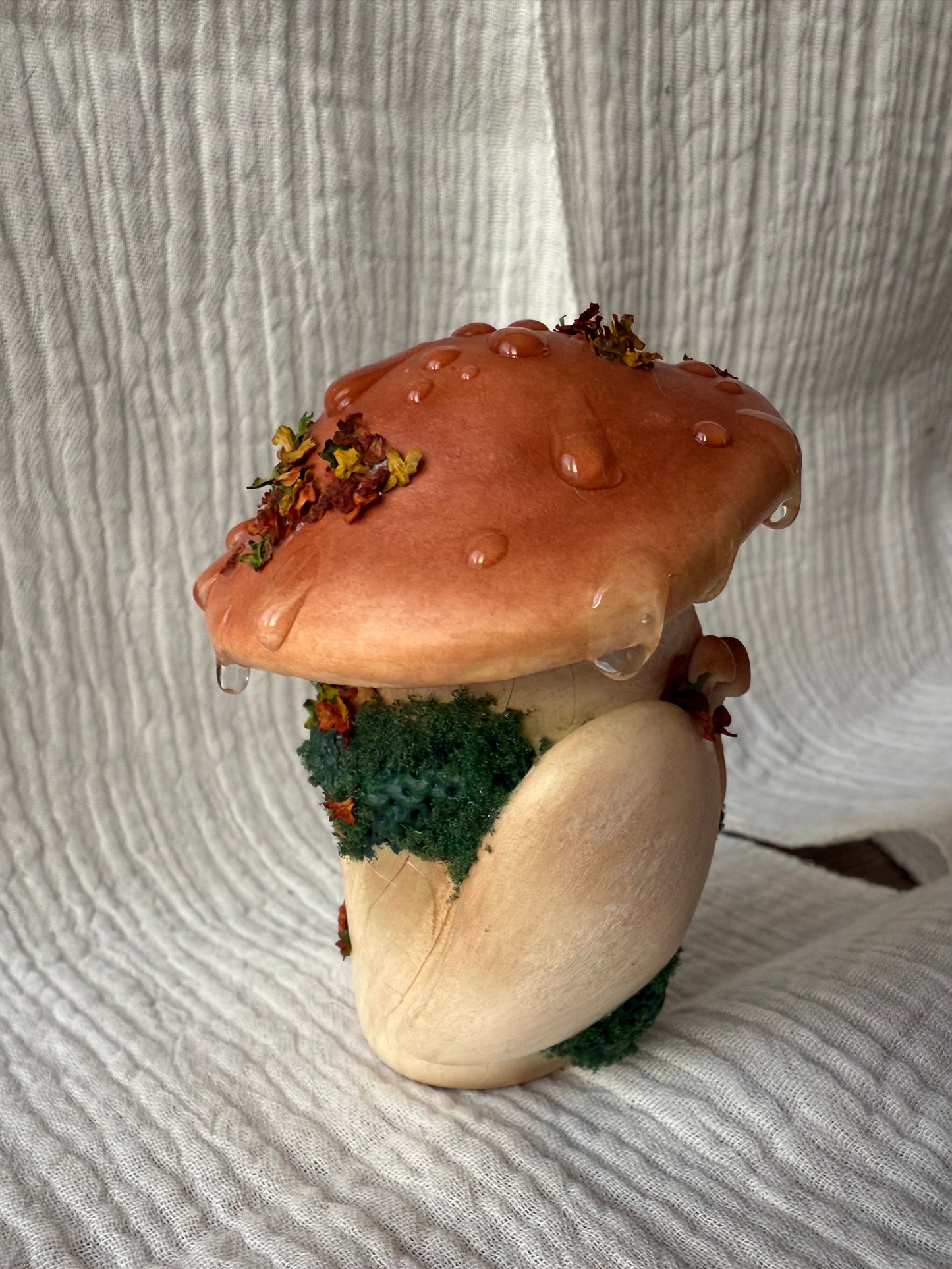 Cèpes la chouette