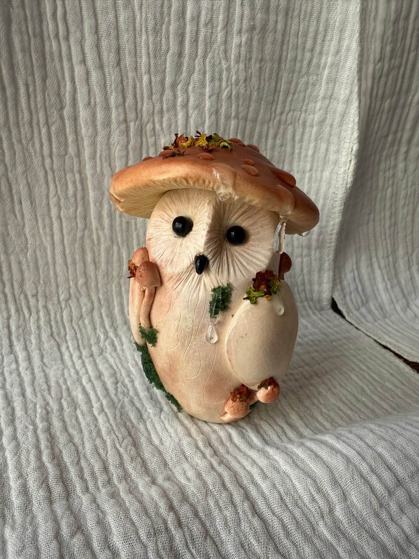 Cèpes la chouette