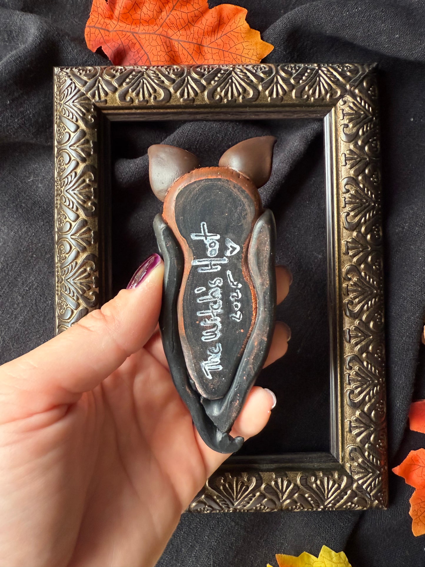 Chauve souris cercueil