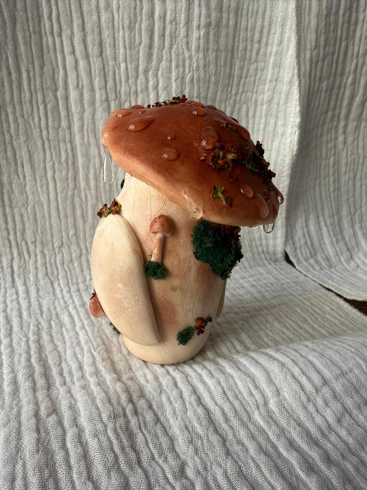 Cèpes la chouette