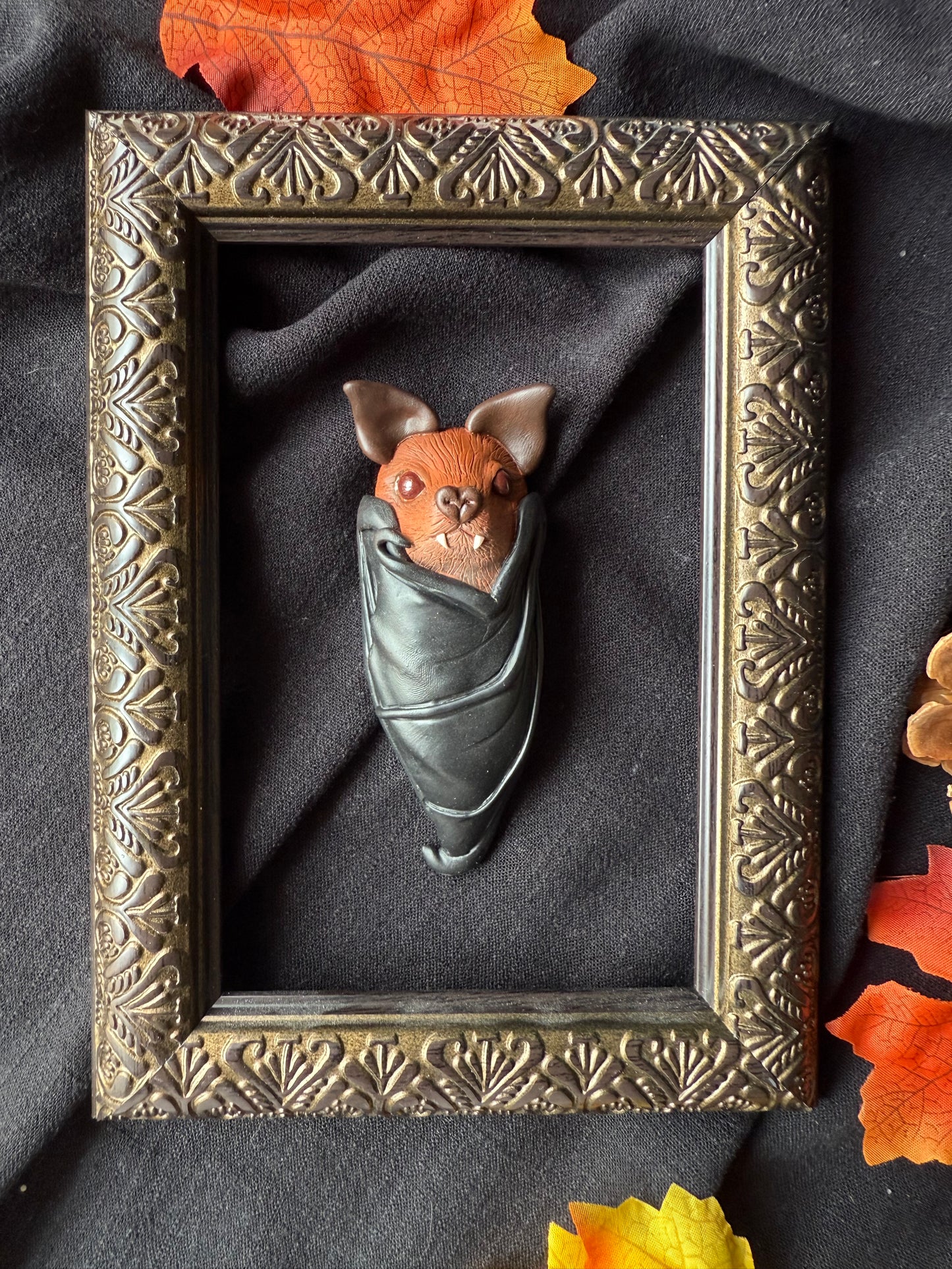 Chauve souris cercueil