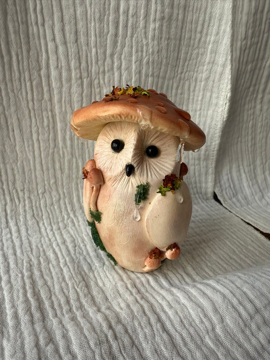 Cèpes la chouette
