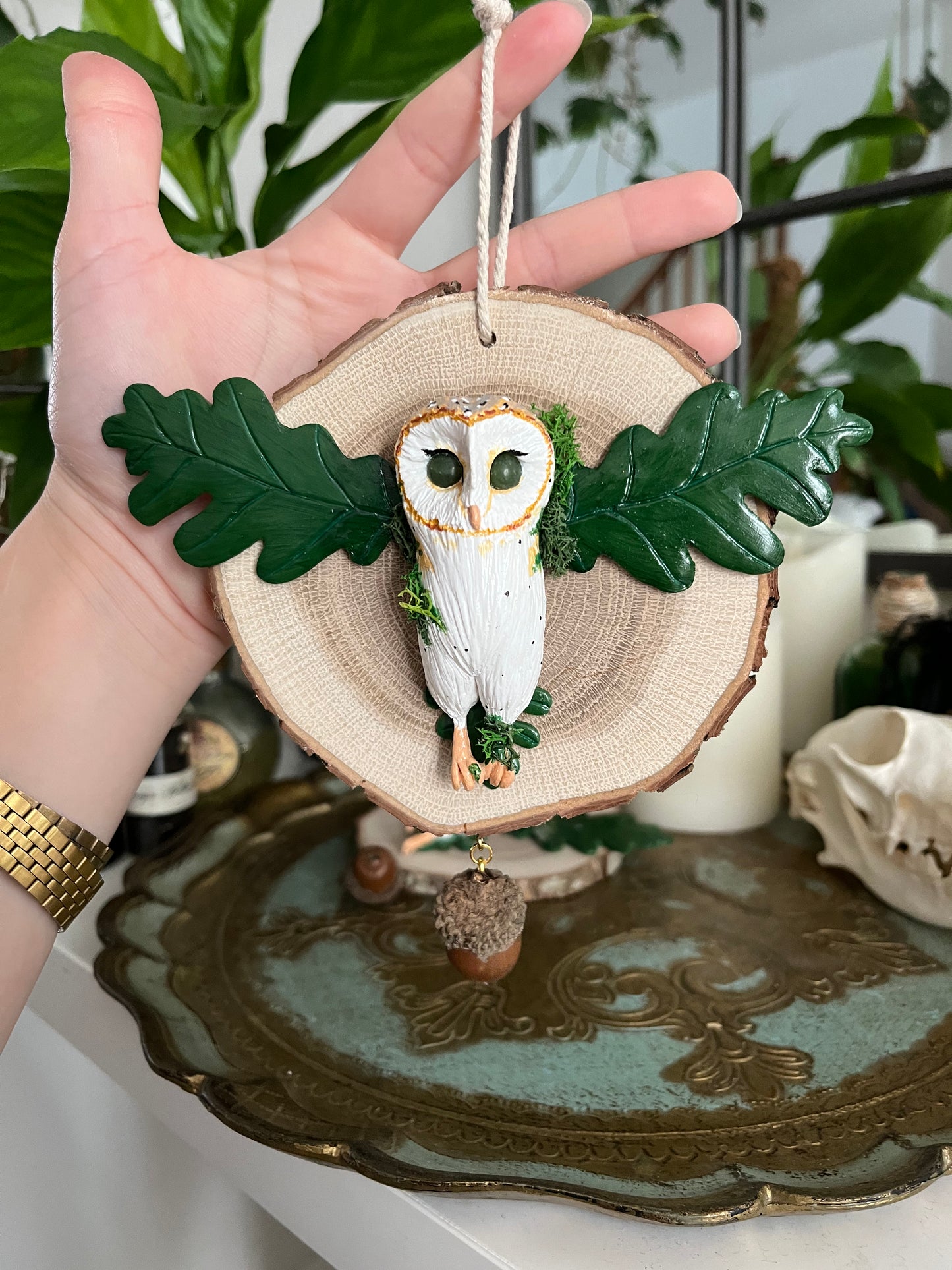 Oak owl