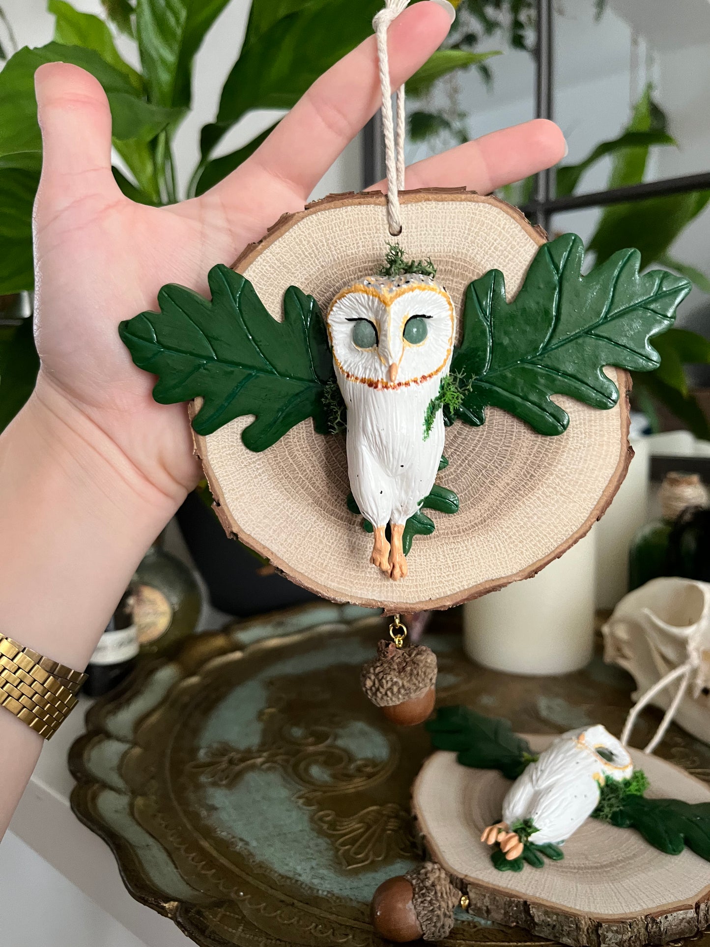 Oak owl